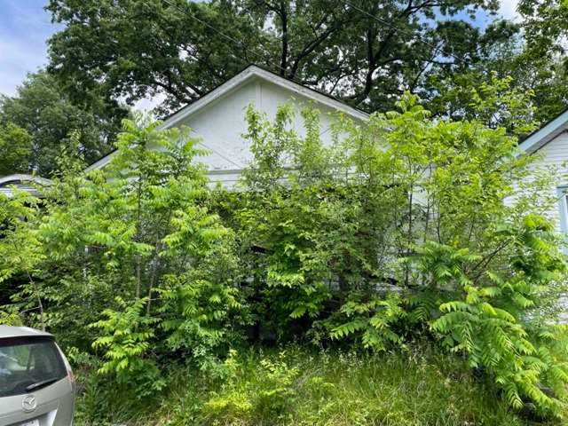 847 Sutcliffe Ave photo